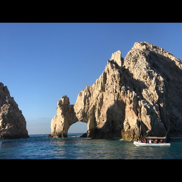 Meet your Posher, Larry - Picture 3 of 12